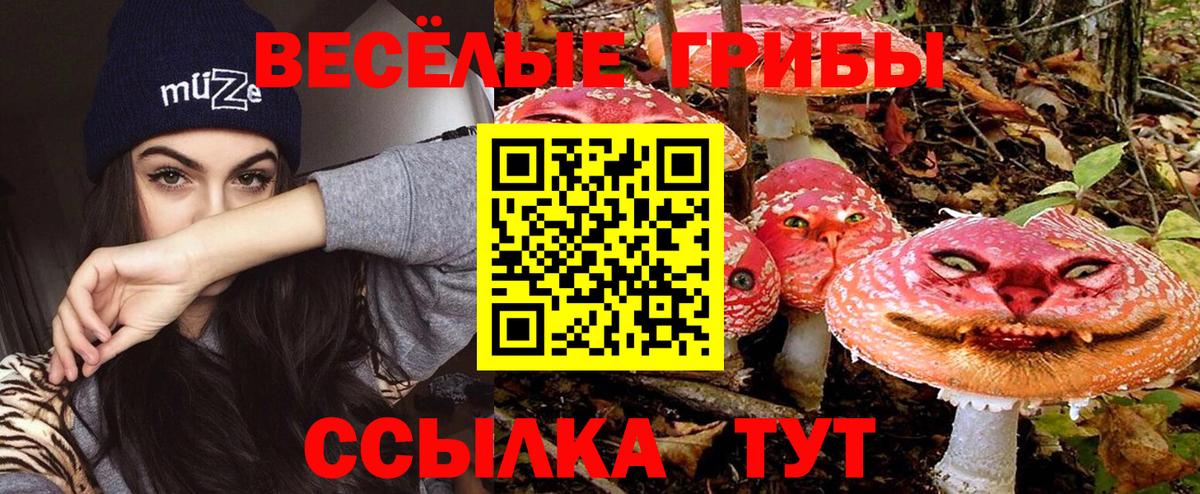 Ступино  наркота  Вход с VPN  Псилоцибиновые грибы прущие грибы 