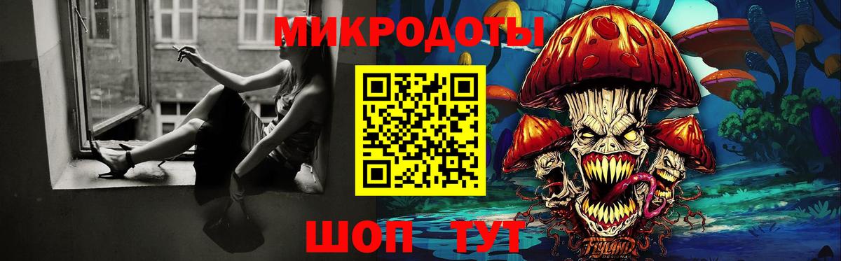 Галлюциногенные грибы Psilocybine cubensis Ступино